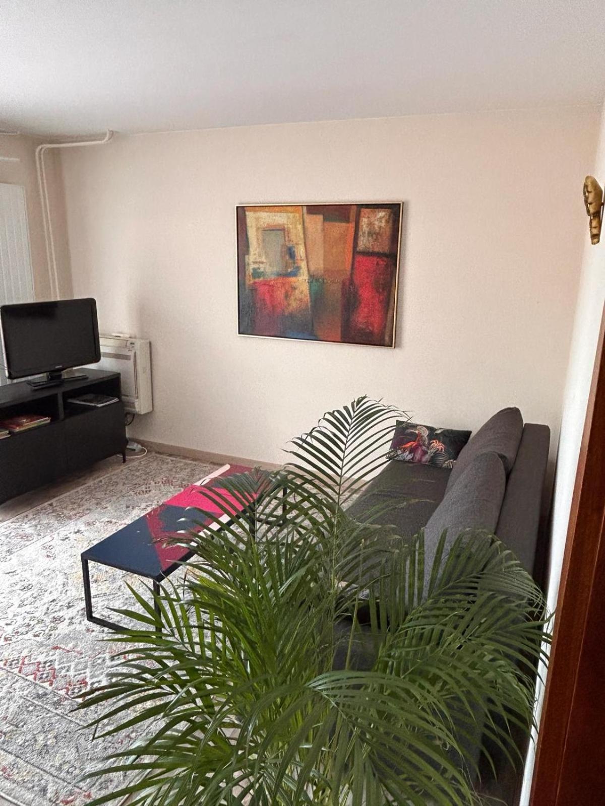 Appartement Sur Les Bords De L'Ill Strasbourg Exteriör bild
