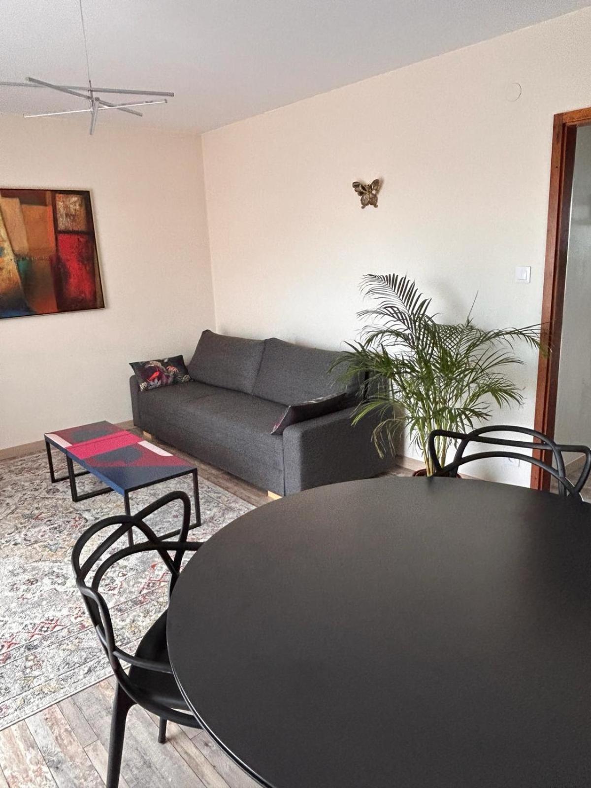 Appartement Sur Les Bords De L'Ill Strasbourg Exteriör bild